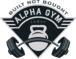 Alpha Gym Red Logo